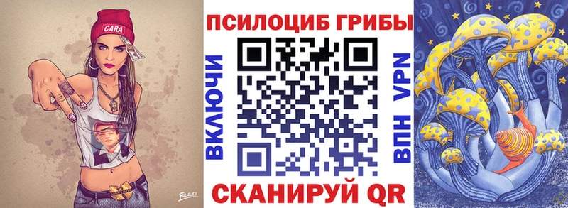 Галлюциногенные грибы Psilocybe  Купить закладки  Сосновый Бор 