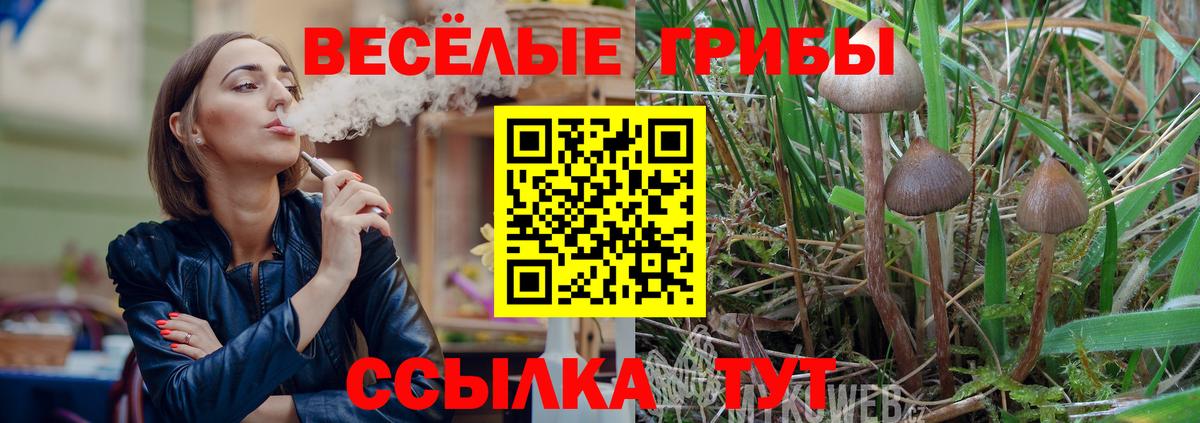 Галлюциногенные грибы мухоморы  Вход с VPN  продажа наркотиков  Сосновый Бор 