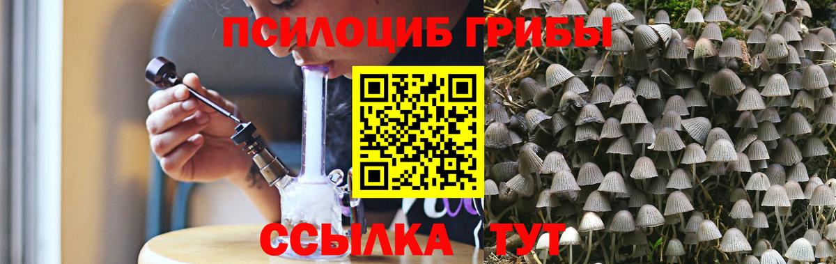 Галлюциногенные грибы Psilocybine cubensis Сосновый Бор