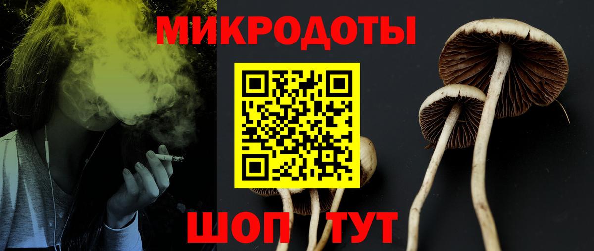 Псилоцибиновые грибы MAGIC MUSHROOMS Сосновый Бор