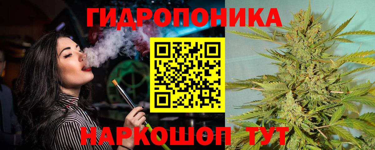 Сосновый Бор  Бошки марихуана тримм  Марихуана планчик  Канабис индика  Вход с VPN  Канабис индика 